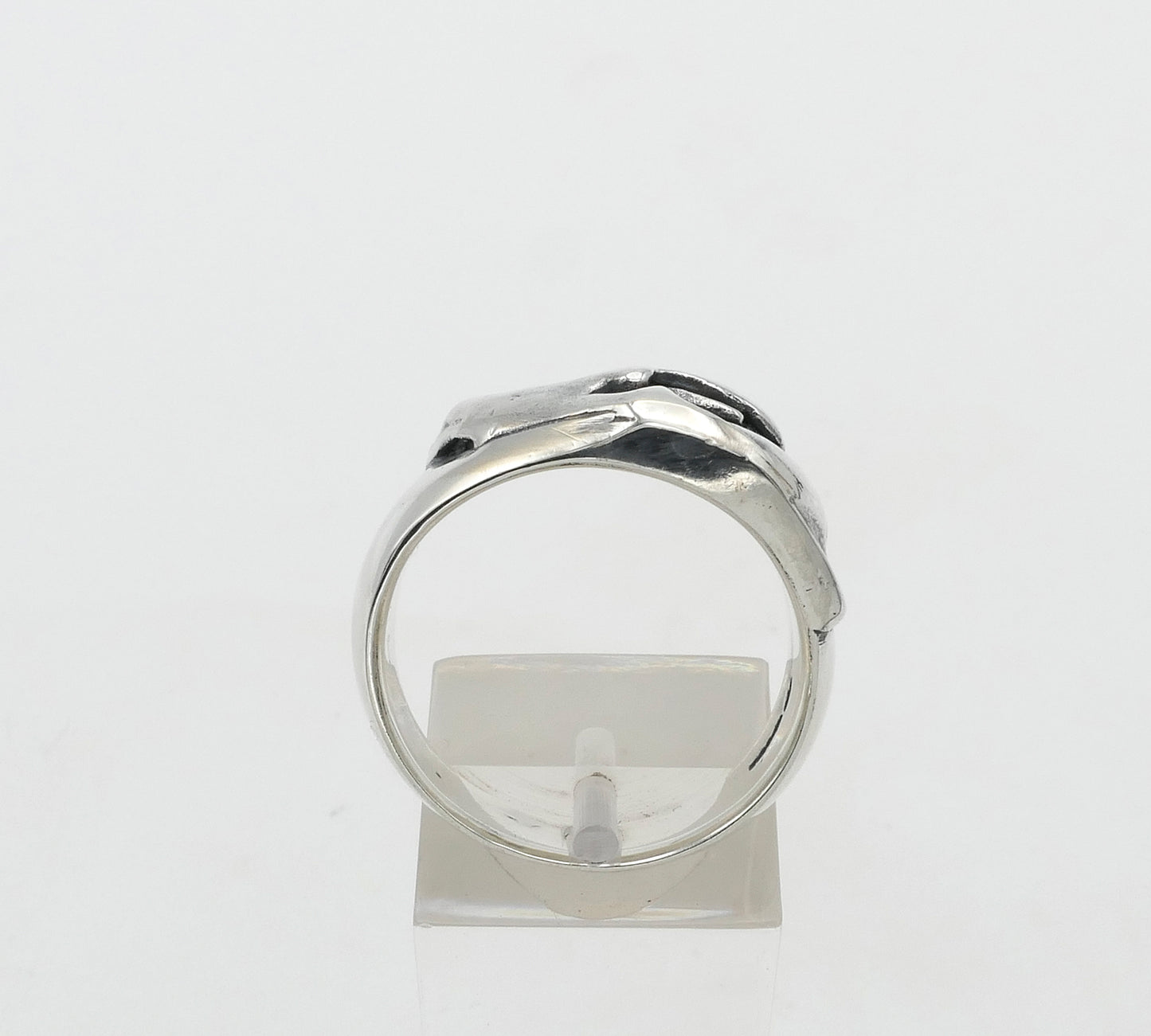 Silver bear skull ring on a white background