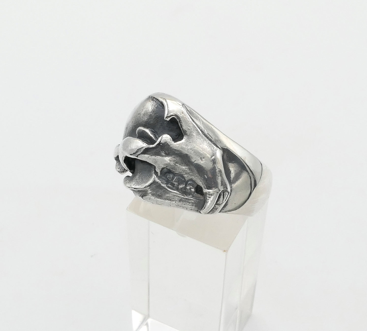 Silver bear skull ring on a white background