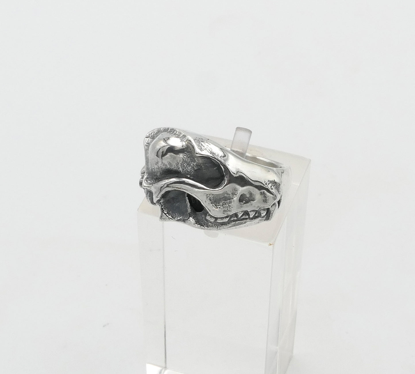 Silver fox skull ring on a clear stand against a white background