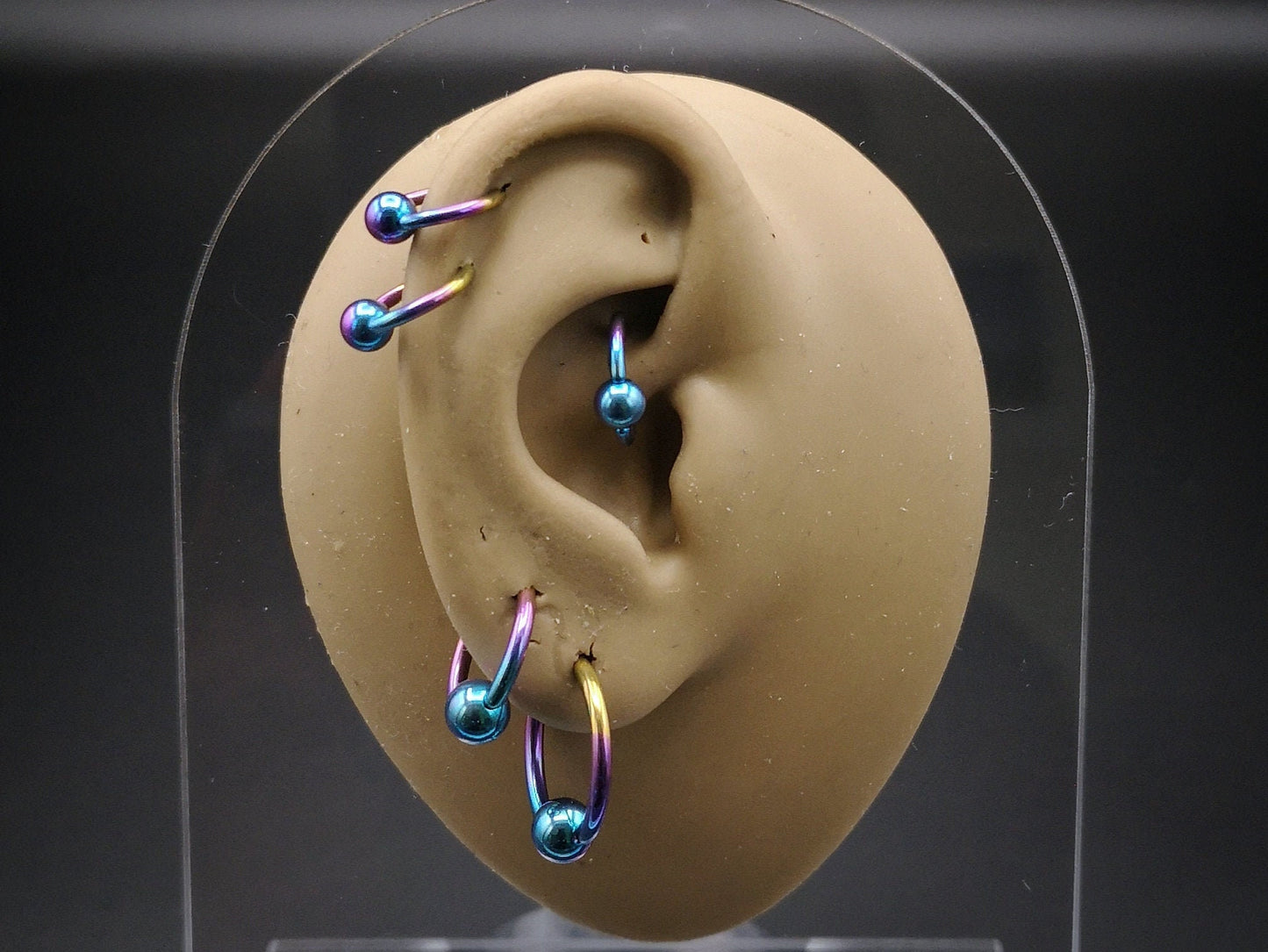 A set of five titanium anodized ball closure rings in different colors: blue, turquoise, pink, and a rainbow finish, with a shiny metallic appearance.