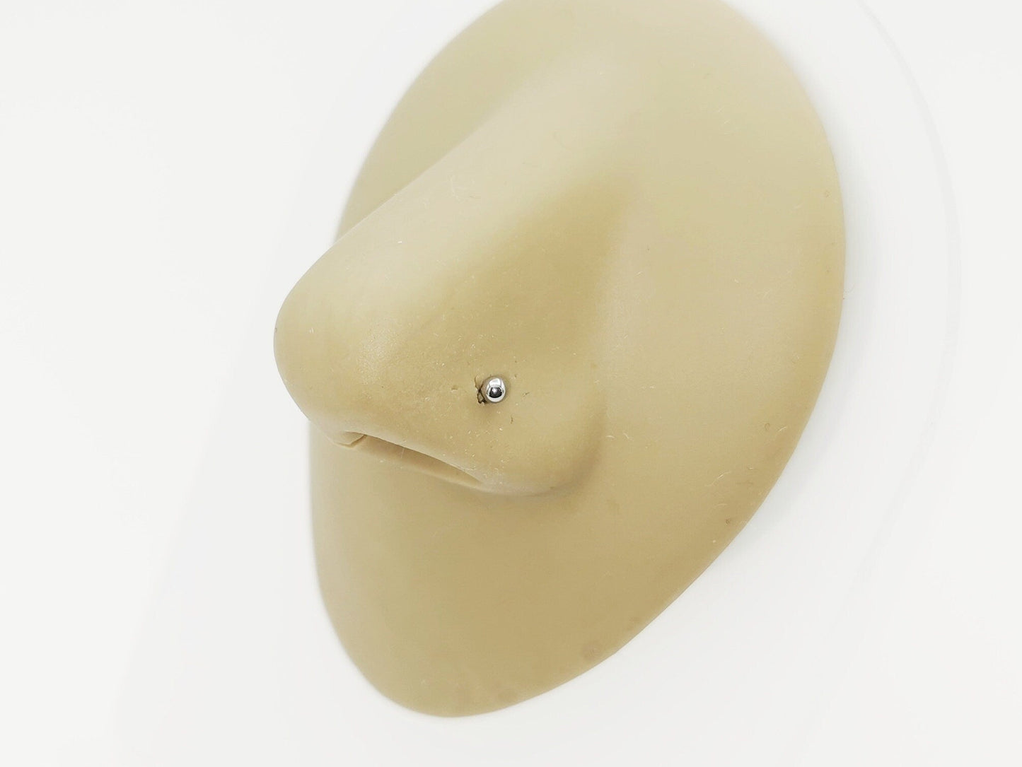 Titanium ball nose stud on a nose