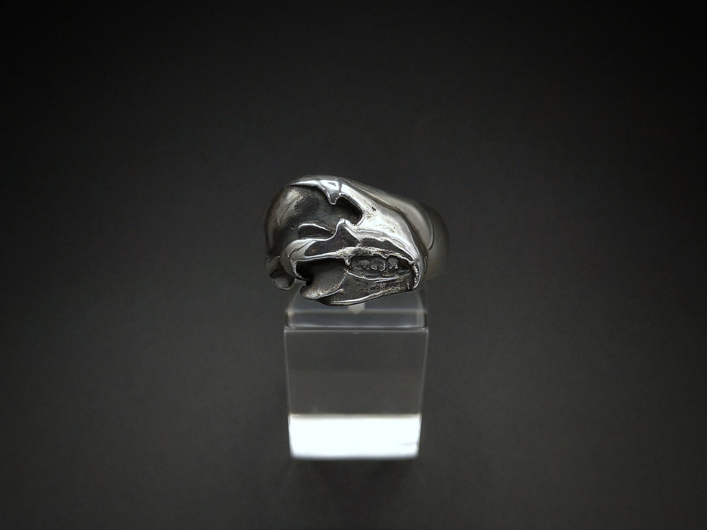 A sterling silver bear skull ring placed on a clear stand against a black background.