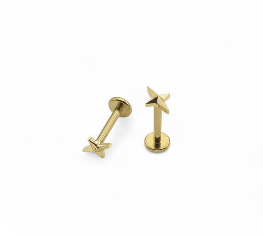 Gold Titanium Guiding Star