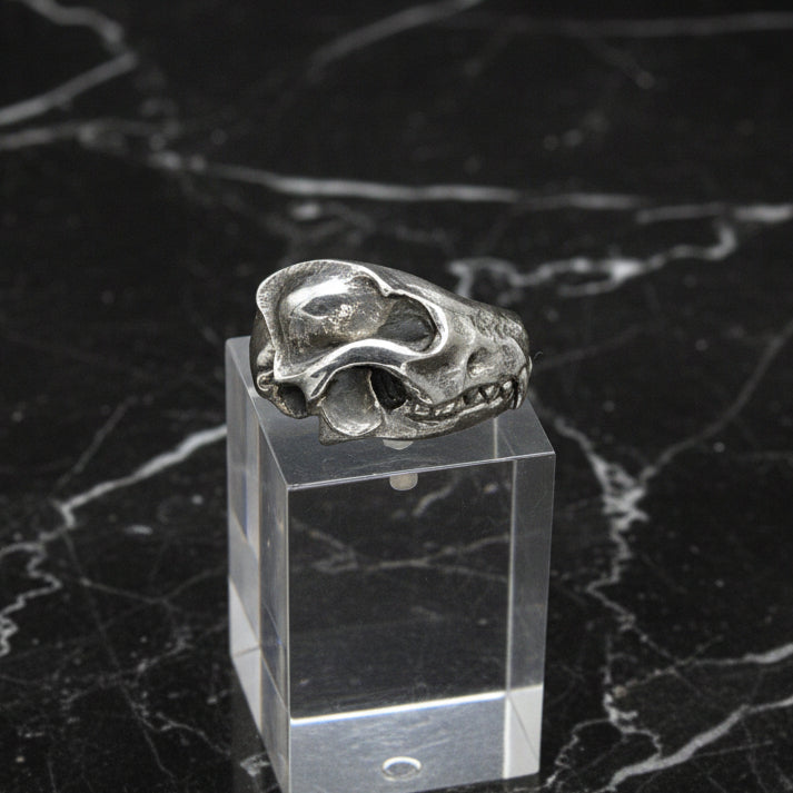 A sterling silver fox skull ring in a clear case, showcasing the detailed skull design.