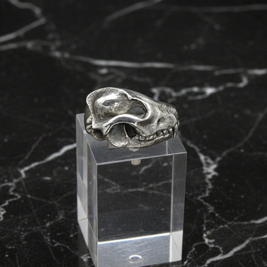 A sterling silver fox skull ring in a clear case, showcasing the detailed skull design.