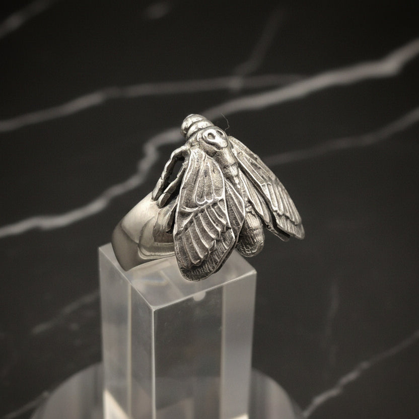 A sterling silver ring featuring a detailed hawk moth design with a tapered shank, displayed on a clear stand.