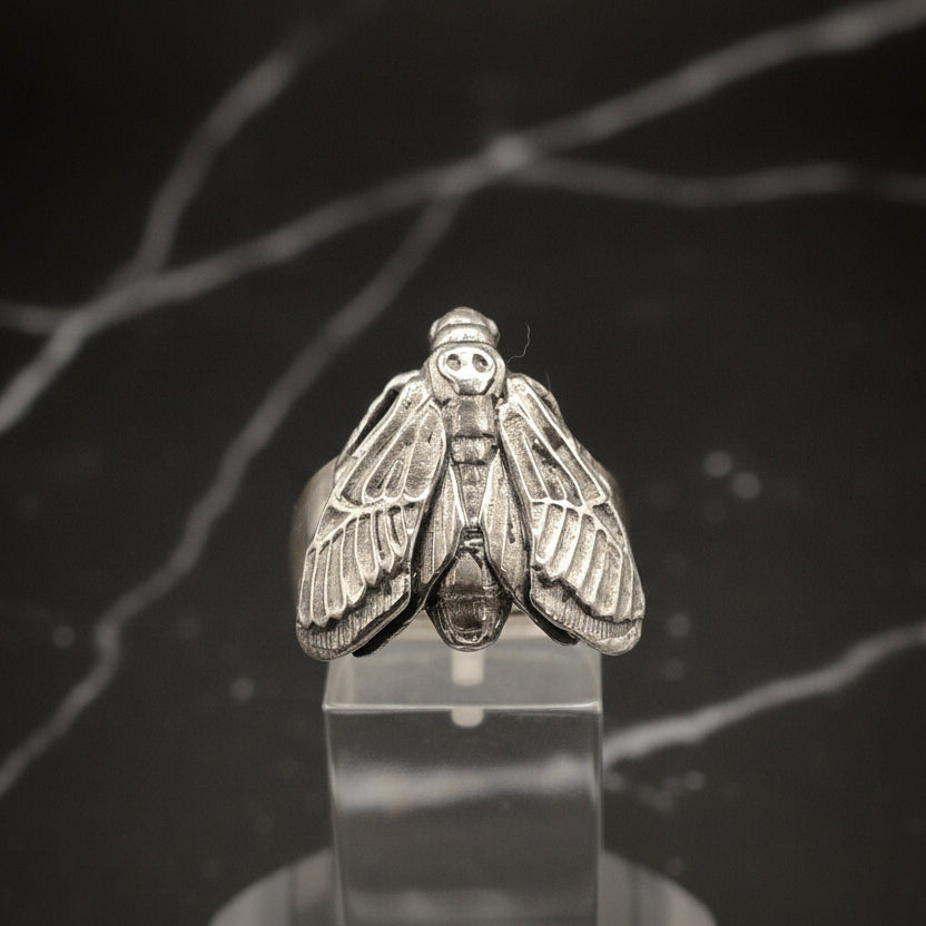 Silver moth ring on a clear stand with a dark background