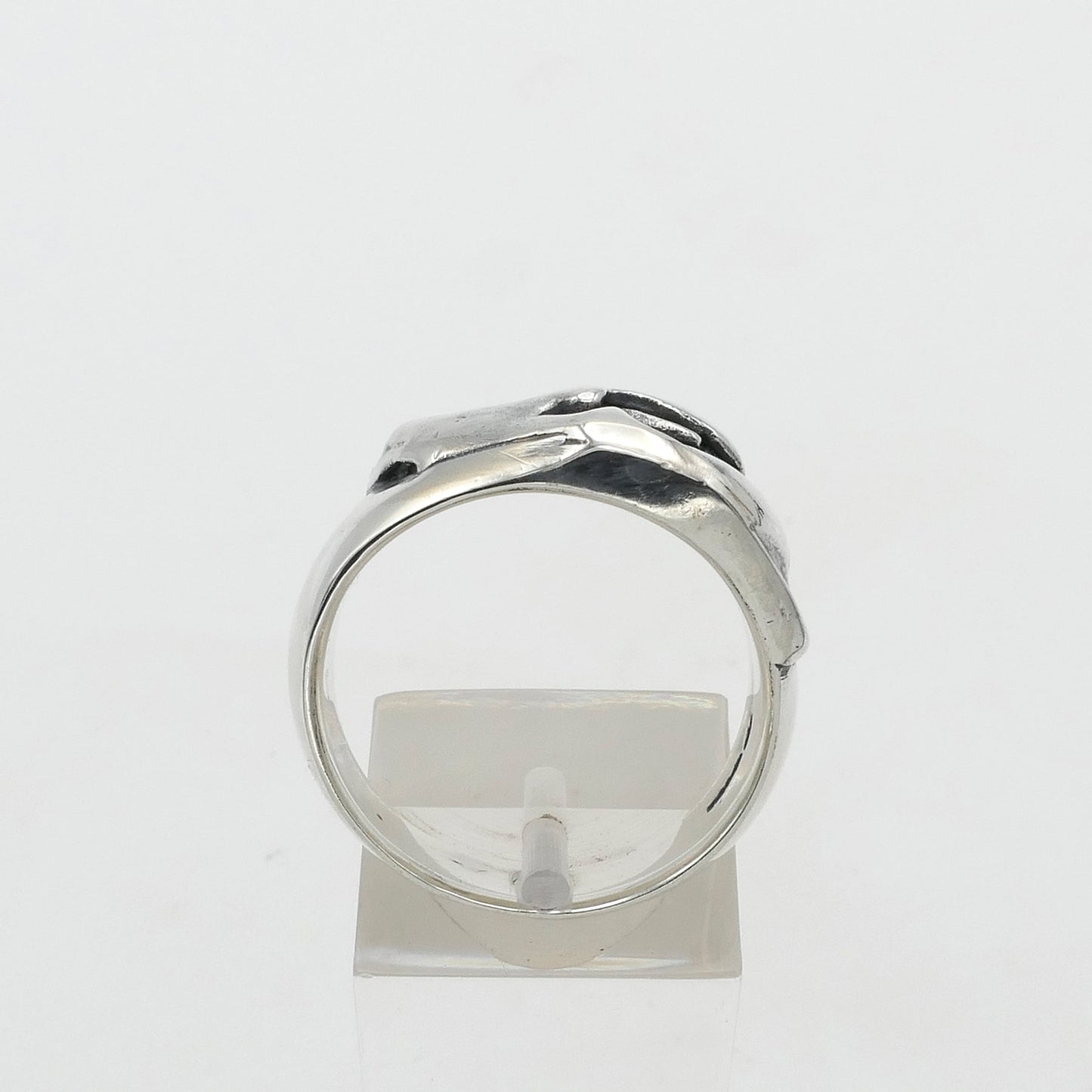 Silver bear skull ring on a white background