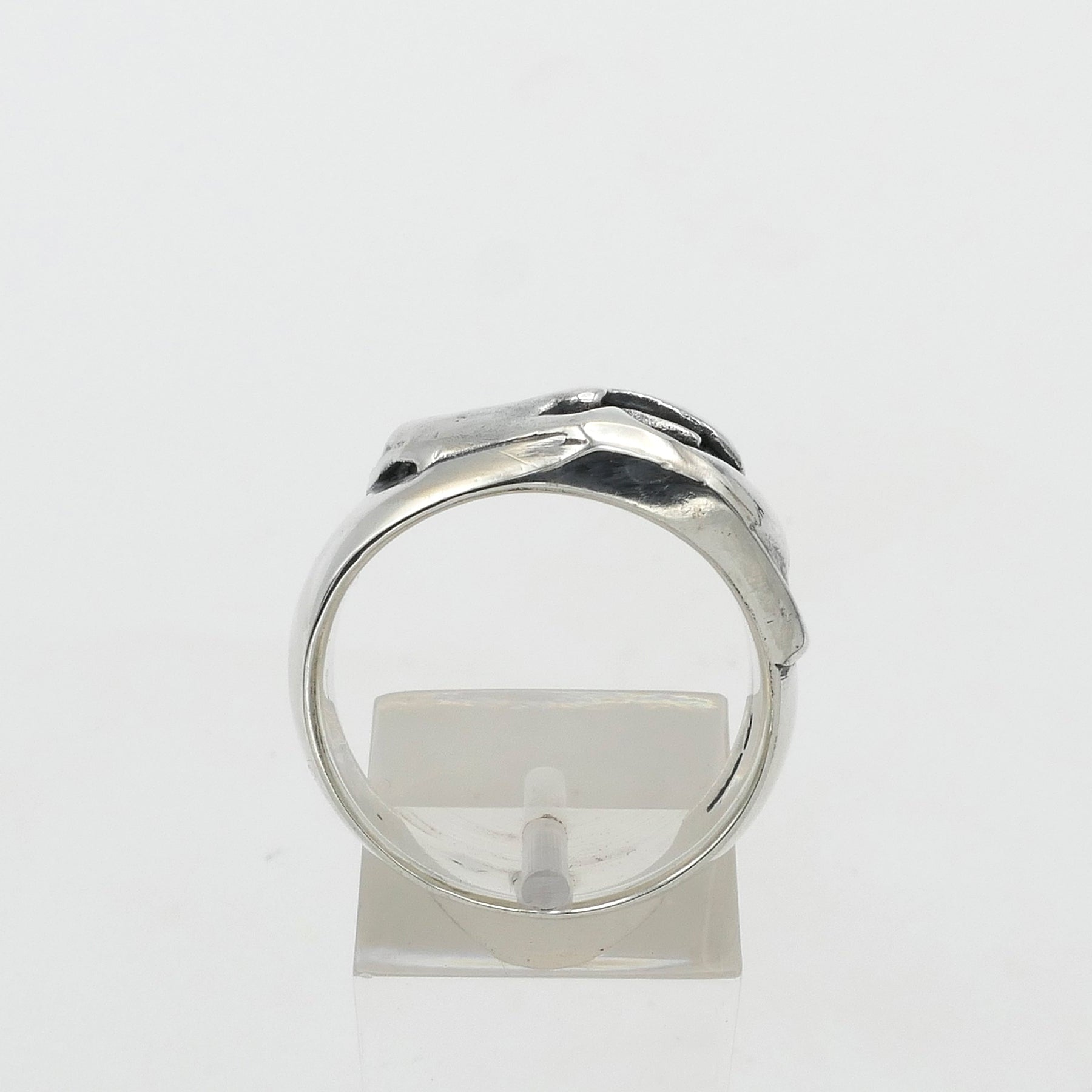 Silver bear skull ring on a white background