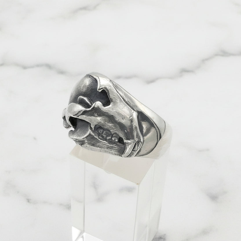 Silver bear skull ring on a white background