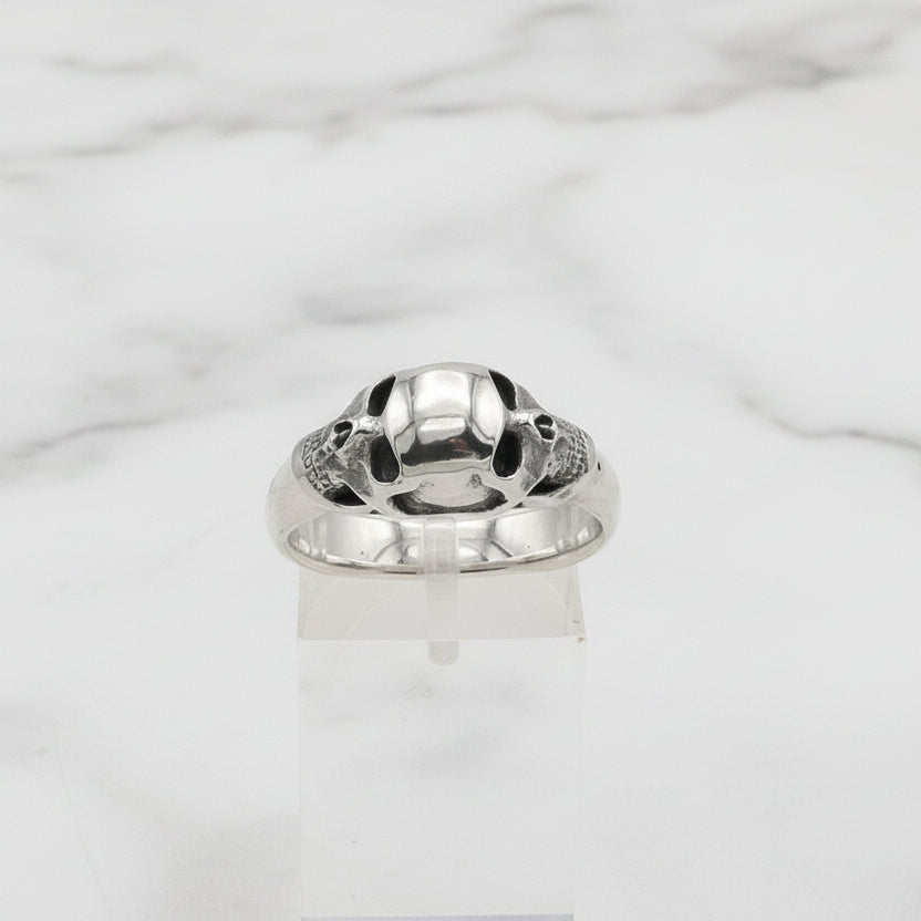 Silver double skull ring with a white background