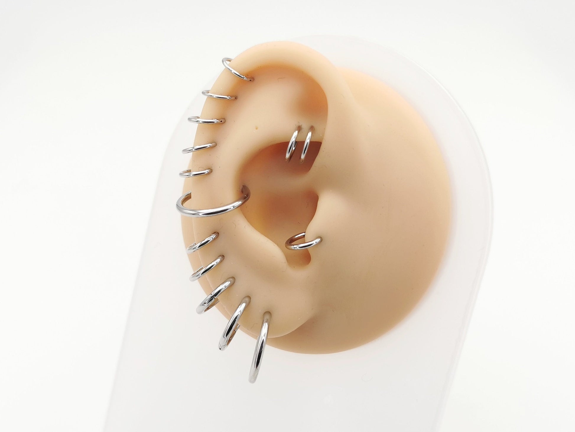 A set of surgical steel clicker rings in increasing sizes, arranged in on a mannequin ear 