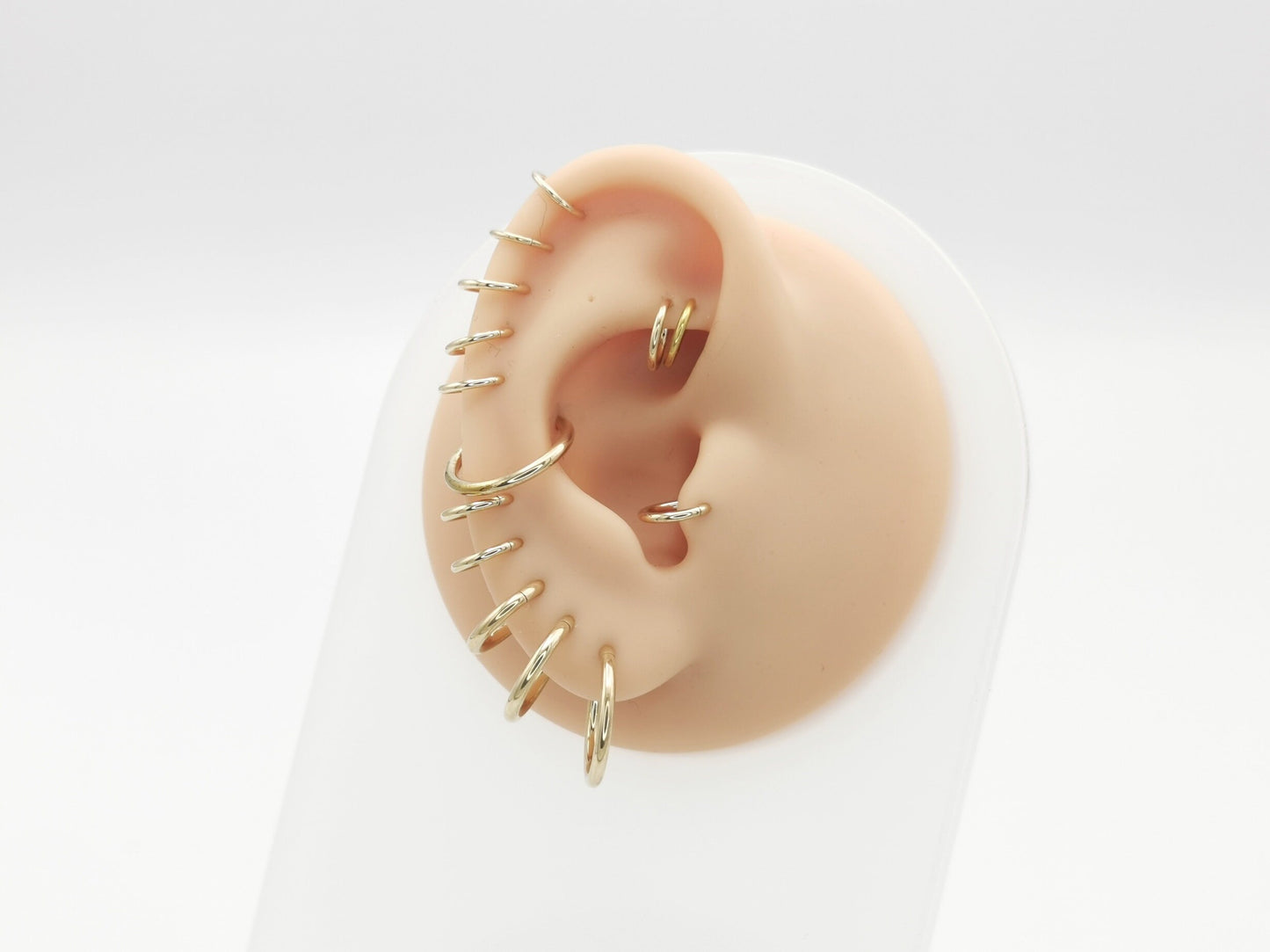 Gold steel clicker rings on a mannequin ear