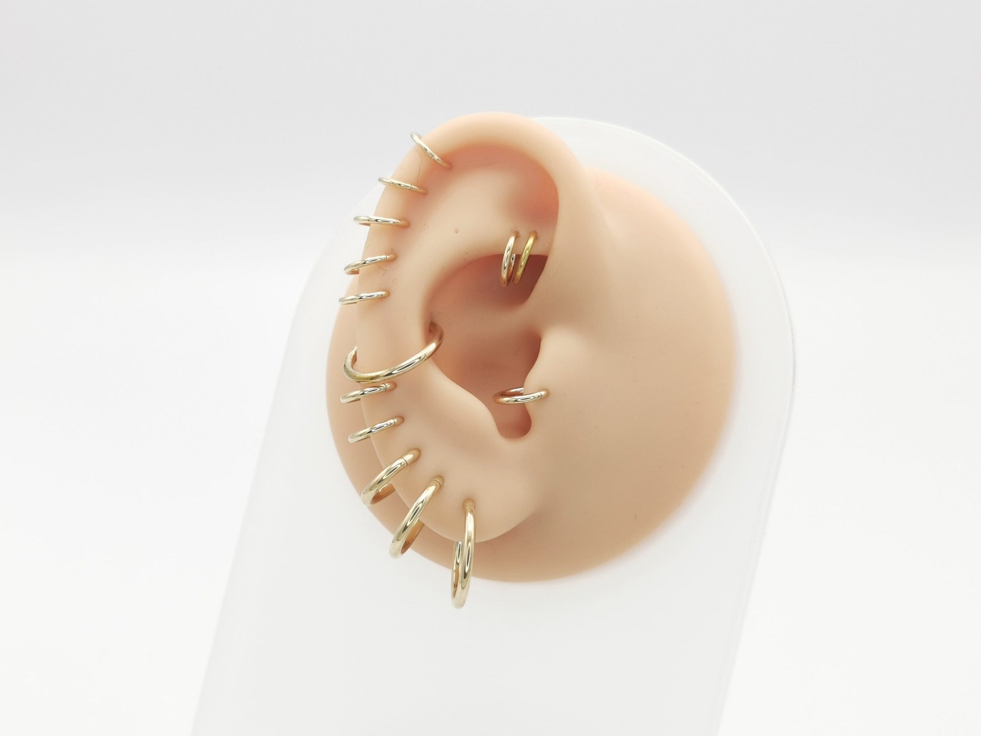 Gold steel clicker rings on a mannequin ear