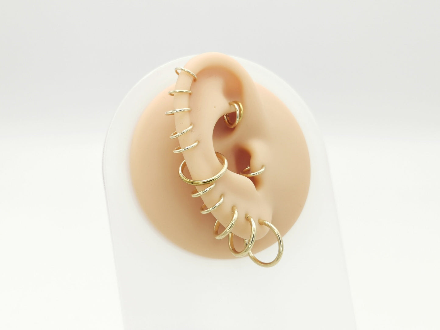 Gold steel clicker rings on a mannequin ear