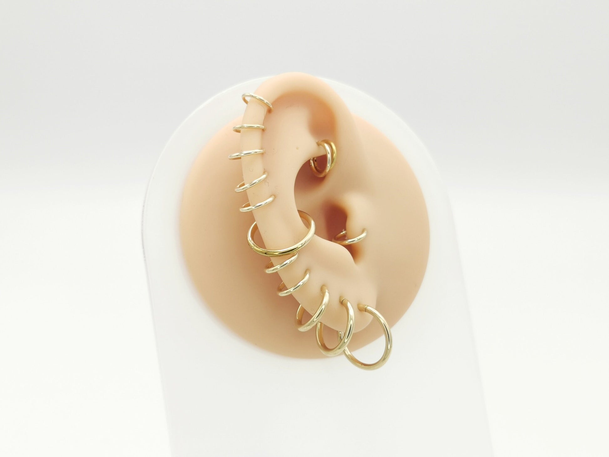 Gold steel clicker rings on a mannequin ear