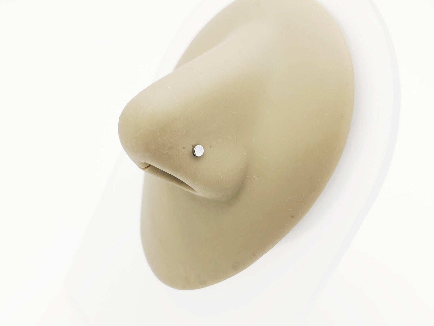 Titanium Disc Nose Stud on a nose