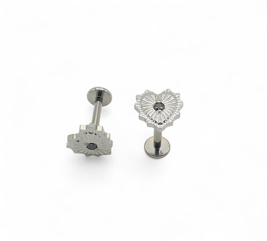 Titanium radiant heart jewelled studs on a white background