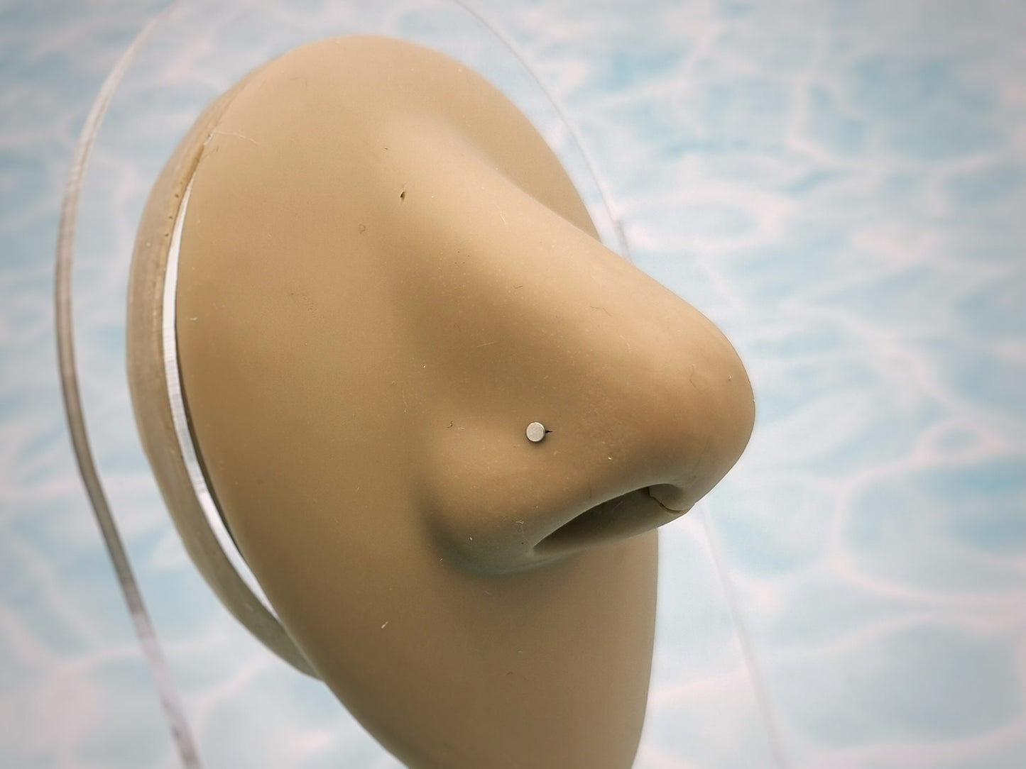 Titanium micro disc nose stud on a nose