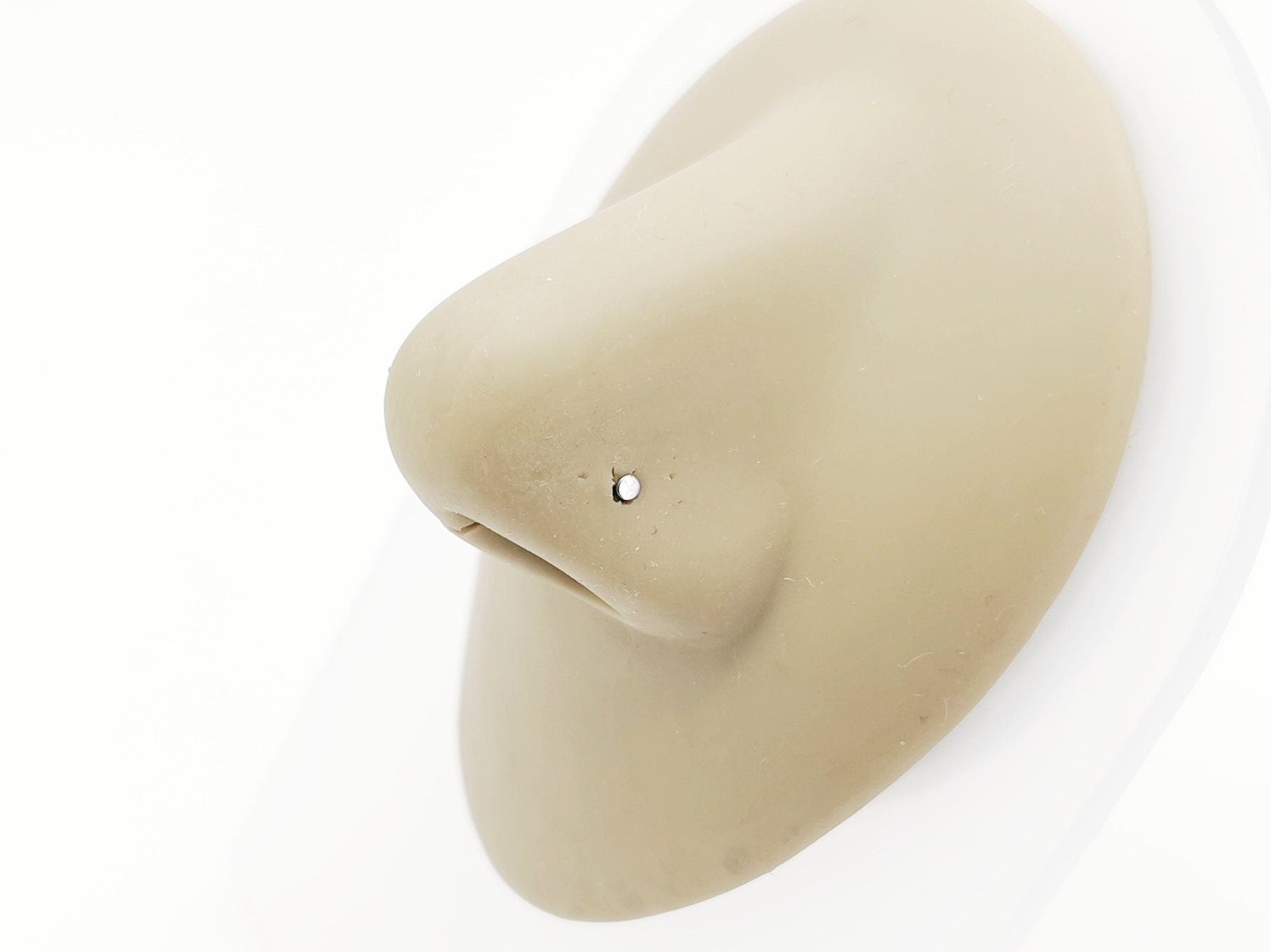 Titanium micro disc nose stud on a white background