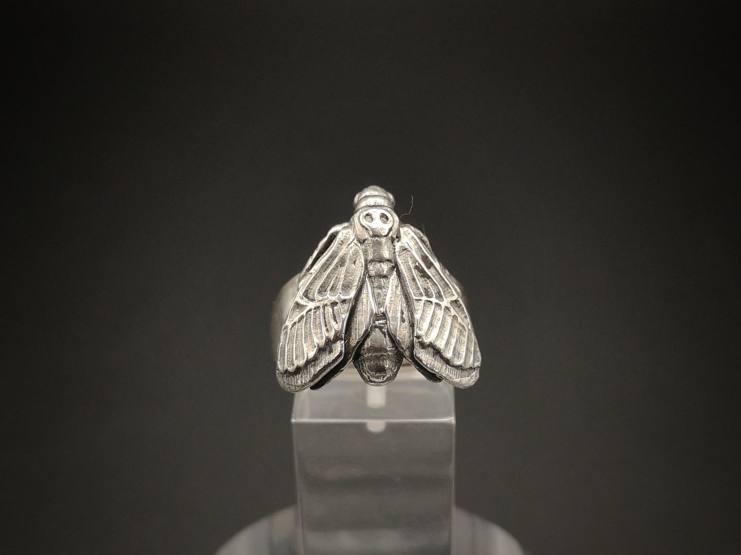 Sterling silver hawk moth ring