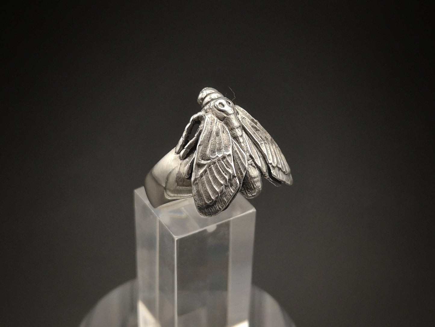 Sterling silver hawk moth ring