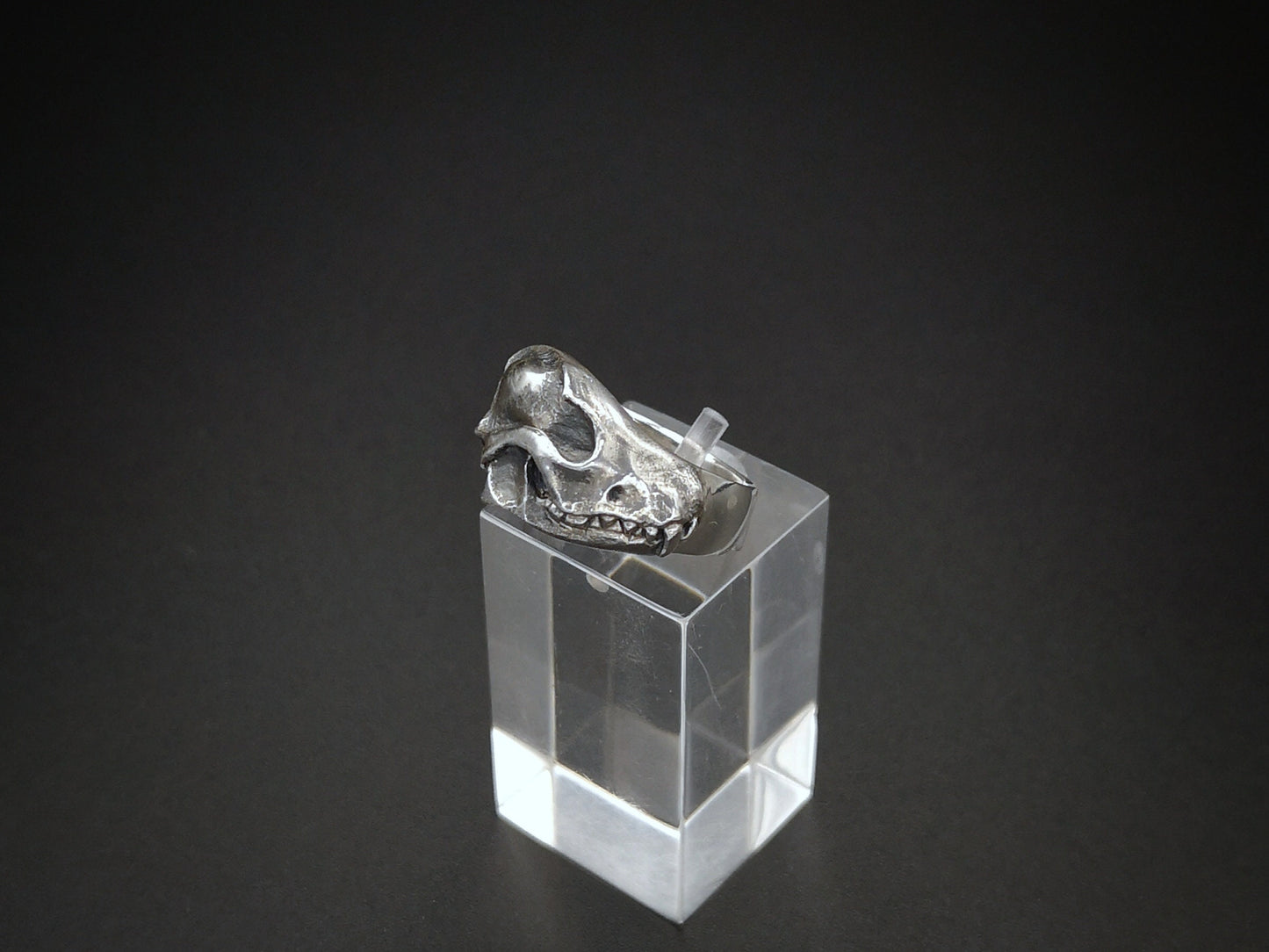 Sterling silver fox skull ring