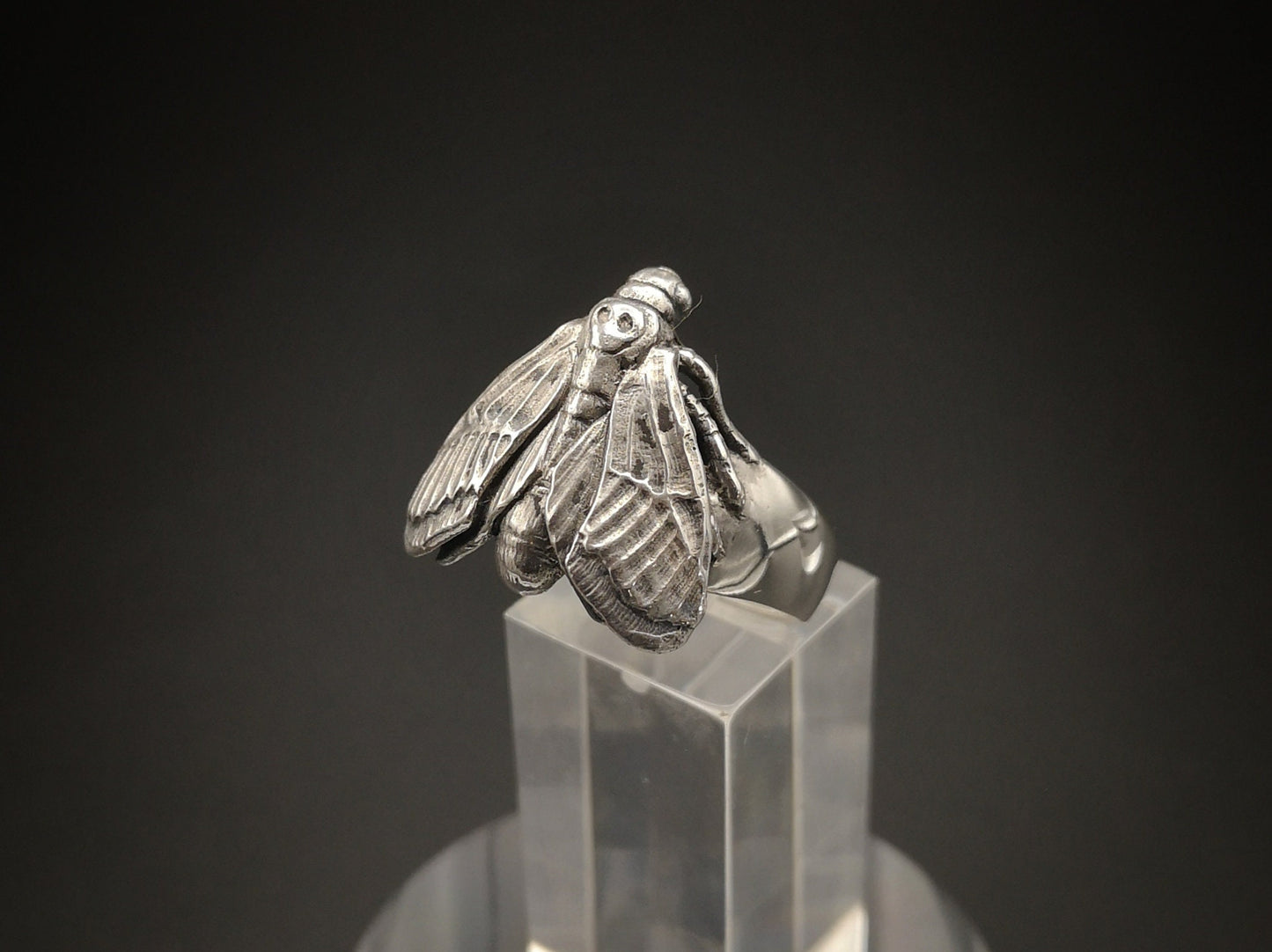 Sterling silver hawk moth ring